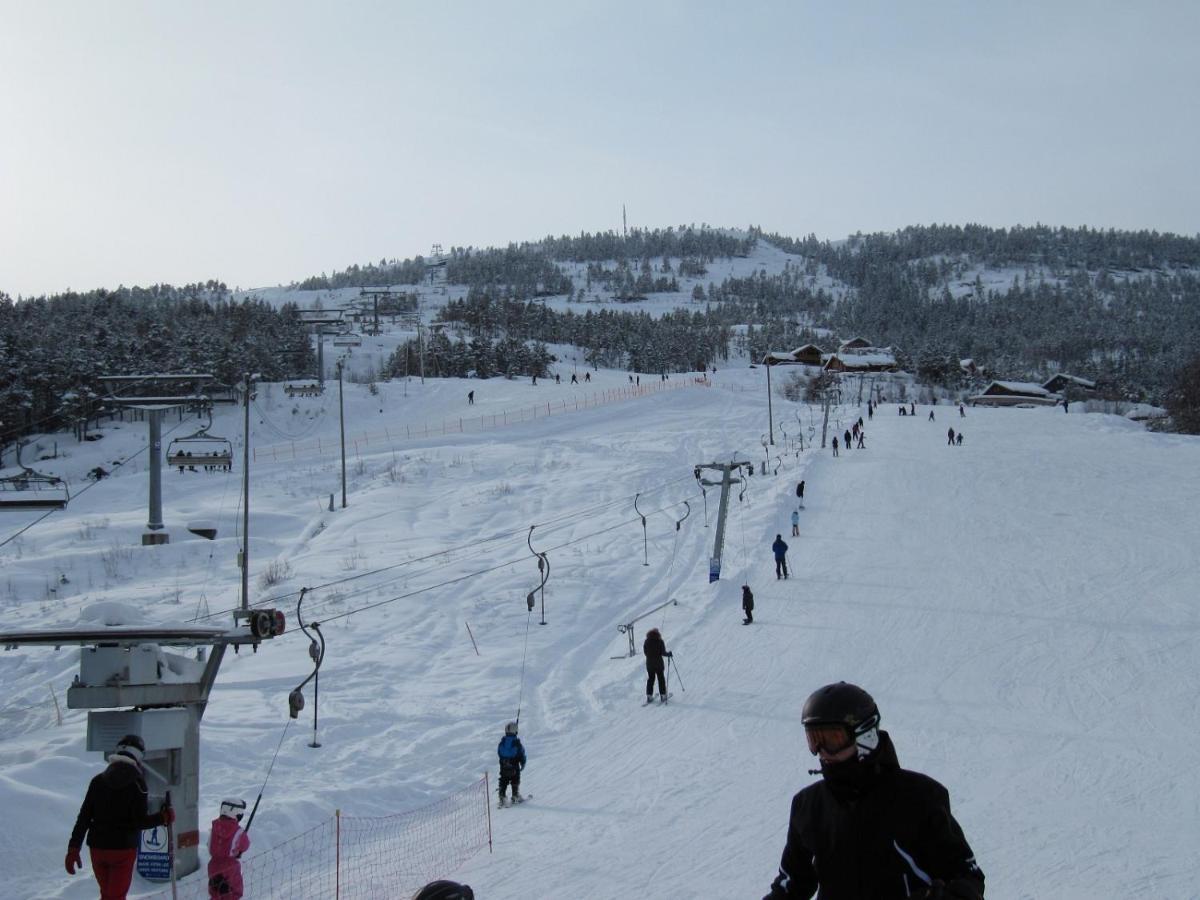 Vradal Panorama - Tiurasvegen 39 Villa Buitenkant foto