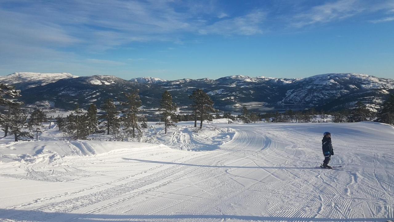 Vradal Panorama - Tiurasvegen 39 Villa Buitenkant foto