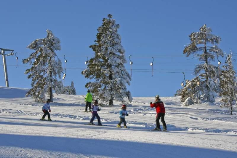 Vradal Panorama - Tiurasvegen 39 Villa Buitenkant foto