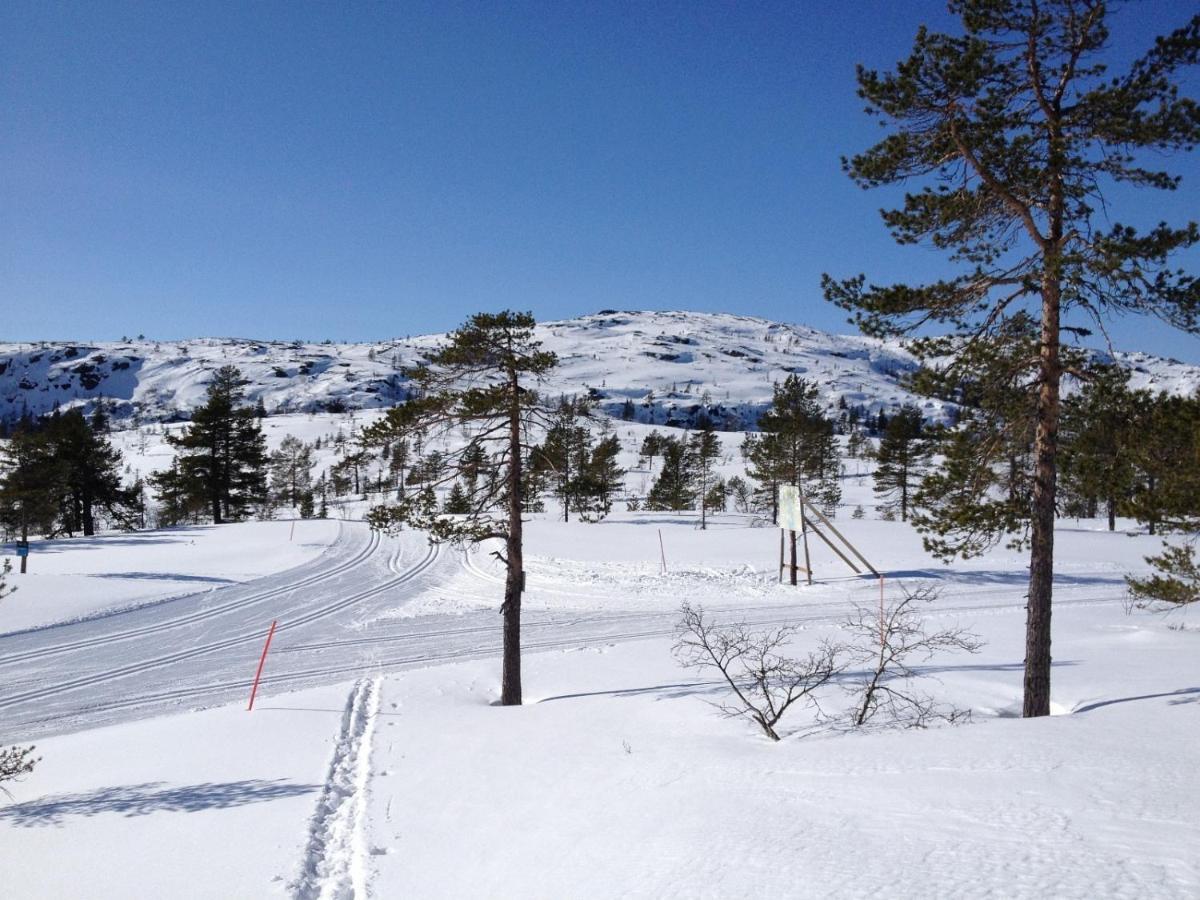 Vradal Panorama - Tiurasvegen 39 Villa Buitenkant foto